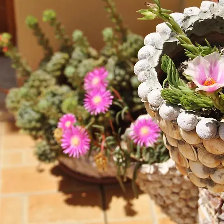 Tatil Evi Case Vacanza Tra Le Torri